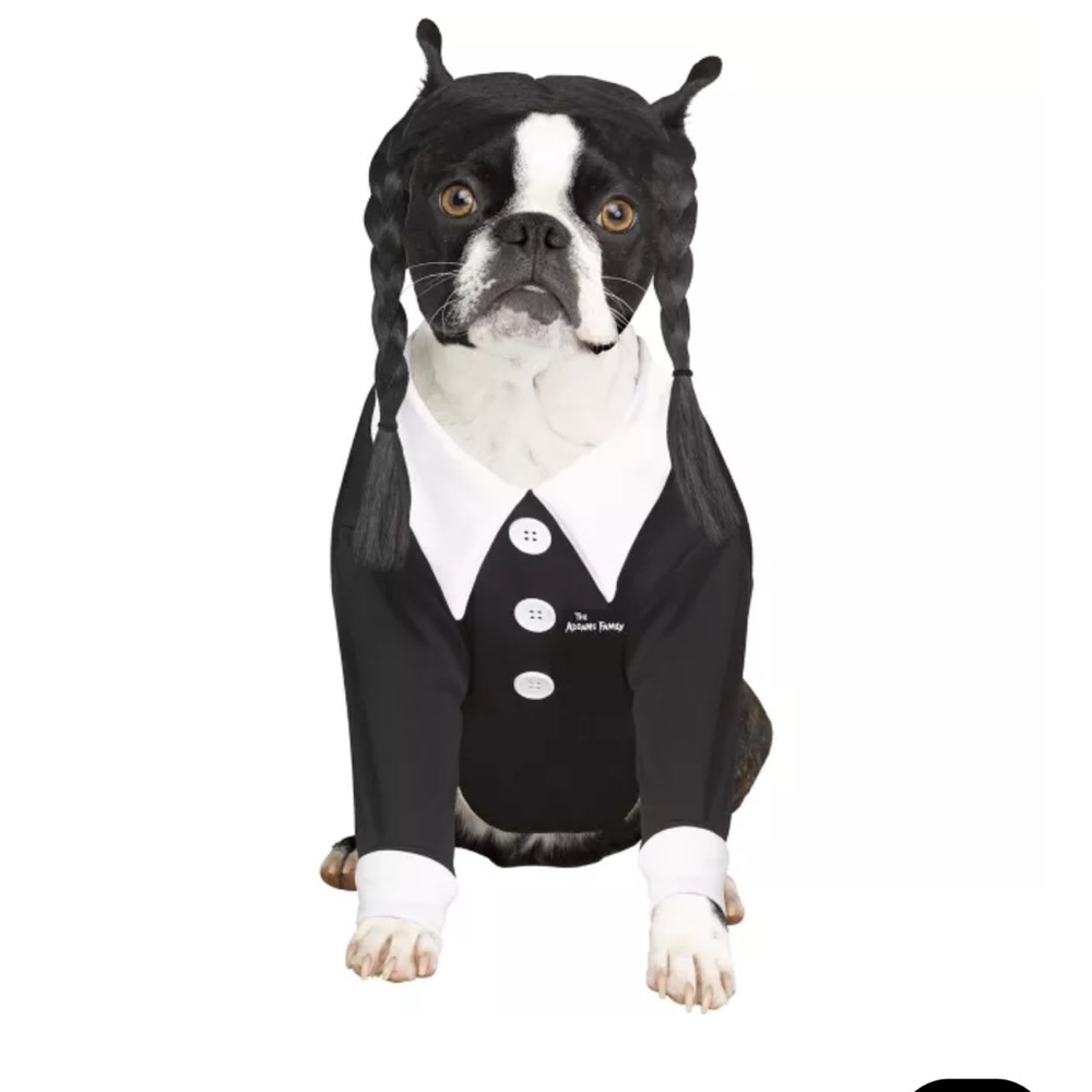 Wednesday Addams Pet Costume
